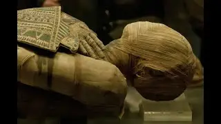 Egypt Mummification Process