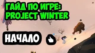Project Winter Гайд для начинающих  Что Зачем Куда