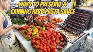 Ep 14: When you have a lot of summer tomatoes, make sure to do this & save for later. 🍅 🍝