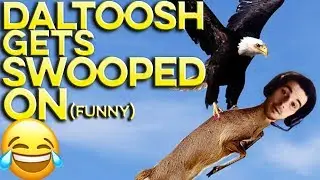 DALTOOSH GETS SWOOPED ON BY ELITE SQUAD 😱 (FUNNY) | APEX LEGENDS