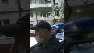 дпс гибдд