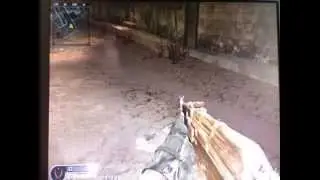 Cod4 golden AK-47