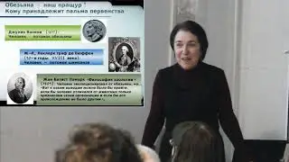 Орангутан ли наш Адам?