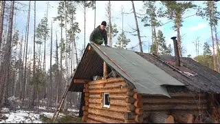 Bear in a camera trap. Сabin repair.