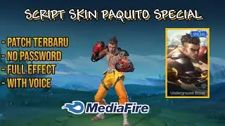 Script Skin Paquito Spesial Underground Boxer No Password Full Effect & Voice | Patch Edith Terbaru