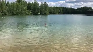 Лисья нора 2024