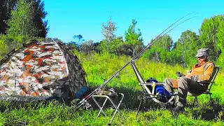 Алтай и его природа/В деревню с отдыхом/Вездеходы своими руками/DJI mini 3 pro
