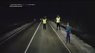 [Стой ,ЛОСИ прямо на дороге] Car crash compilation (#56)