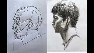 Método de dibujo Frank J  Reilly Cabeza perfil