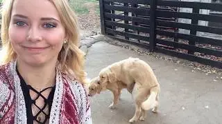 22 WORST SELFIE  FAILS
