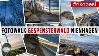 Fotowalk Gespensterwald Nienhagen im Sonnenuntergang - Fotografieren an der Ostsee mit Dekoration