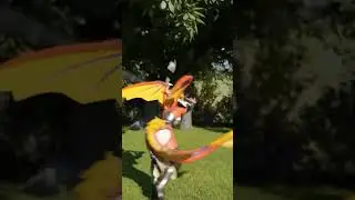 The Dragon Needs a Princess to Protect