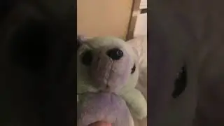 Helpy is stupid