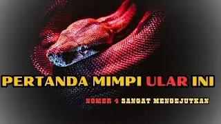 Pertanda Mimpi Ular Ini, Nomer 4 Sangat Mengejutkan, Arti Mimpi, Menurut Islam dan Mitos