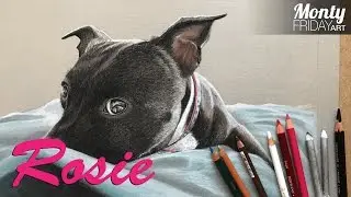 Realistic Pastel Drawing of a Dog