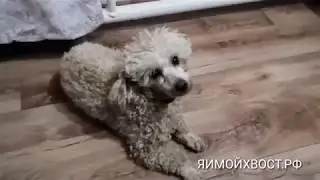 Не виноватая я... Он сам пришёл))) 👍