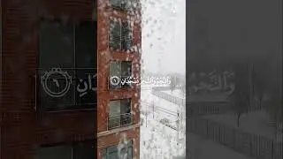 الرحمن - عمر هاشم العربي
