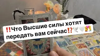 ‼️Вам послание от Высших сил🕊️🤍👩‍❤️‍👨