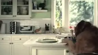 Pepsi Dog Blames Cat