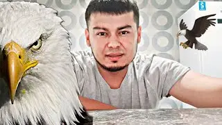 🗣ДАХШАААТ. БУРГУТ ХАКИДА🦅АФСУСЛАНМАЙСИЗ💯