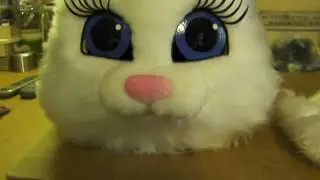 Лапки и головы