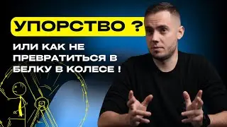 Как упорство мешает жить. Реальные истории