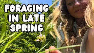 Late Spring Foraging | Wild Food, Rare Flowers + Deadly Plants!