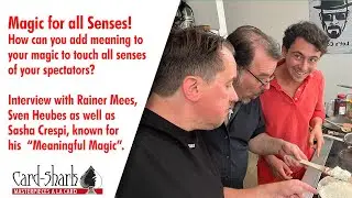 Magic for all Senses