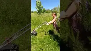 Виннипух на покосе.