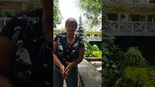Чёрные лебеди на пруду🦢🦢🦢🦢🦢🦢
