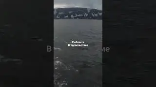 Остров Кильдин. Kildin Island.