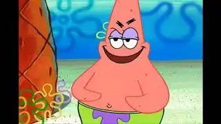 lick.mp4