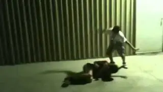 Hot Catfight