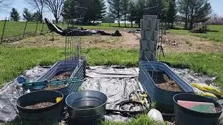 March Garden Mayhem