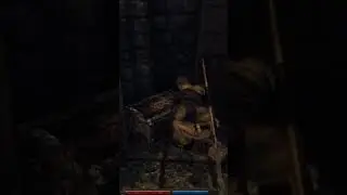 литературное прохождение игры Risen от Салата-Латука 