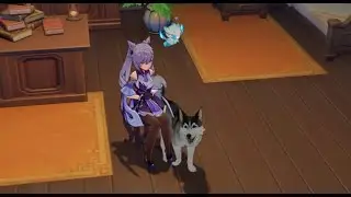 Dog Unlimited Circle 【Genshin Impact】
