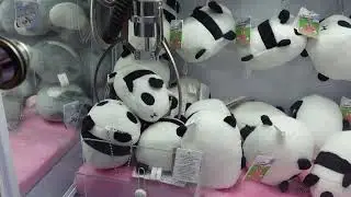 WE WON A LOT FROM THESE MINI CLAW GAMES!!!