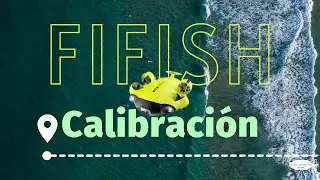 Calibración fifish