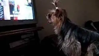 Tux viendo Tv