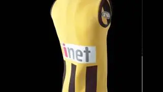 Rendering of Hawks guernsey (3ds max)