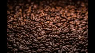 Carrots, Eggs and Coffee Beans