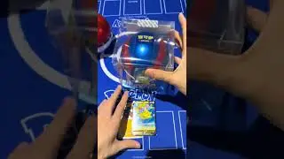 Pokemon TCG 2023 Poke & Great Ball Cards 