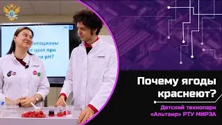 Мария Золотарева рассказала о влиянии растительных органических соединений на окраску плодов!