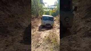 7 ноября 2022 г.