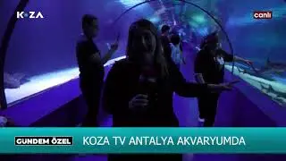 Gündem Özel  