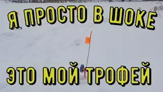 ОСТАВИЛ НА НОЧЬ ЖЕРЛИЦЫ И ПОЙМАЛ СВОЮ ТРОФЕЙНУЮ ЩУКУ. рыбалка 2024