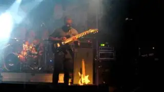 Animals as Leaders