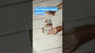 #онлайнрасклад #tarotube #гадание #таро #tarot #таролог #тароонлайн #tarofortune #раскладтаро