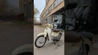 Почему он стоит 280к?...Honda Cub 50 