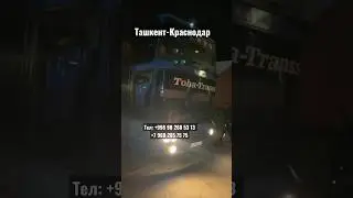 Ташкент Краснодар автобус Краснодар Ташкент Ростов автобус Самара Ташкент автобус Ташкент Волгоград